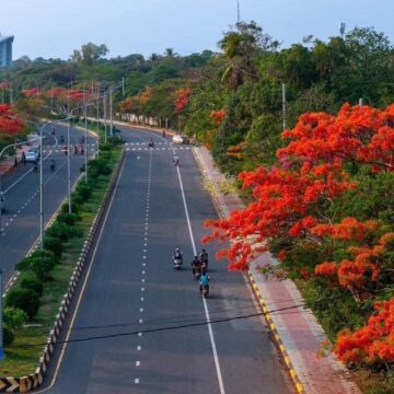 សម្រស់ផ្កាត្រសេកនិងផ្កាក្ងោកក្នុងខេត្តបីនៅកម្ពុជាកំពុងទាក់ទាញទេសចរមកលេងក្នុងរដូវវស្សា