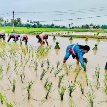 មួយឆ្នាំពេញ ក្រសួងធនធានទឹកបង្កើនលទ្ធភាពនៃការផ្គត់ផ្គង់ទឹកស្រោចស្រពបានជាង ៣០០០០ហិកតា