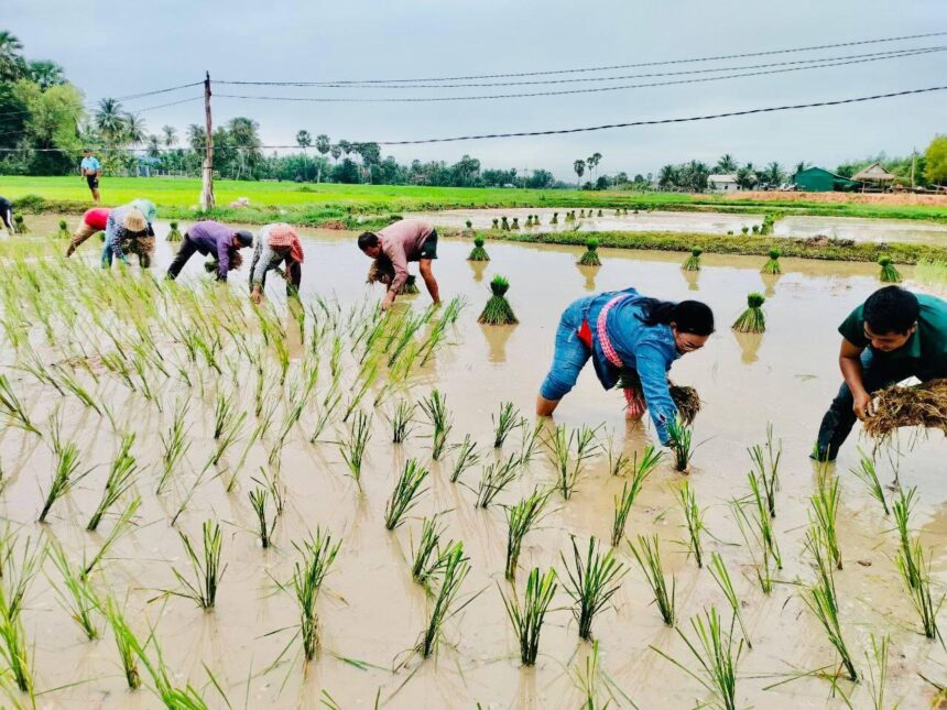 មួយឆ្នាំពេញ ក្រសួងធនធានទឹកបង្កើនលទ្ធភាពនៃការផ្គត់ផ្គង់ទឹកស្រោចស្រពបានជាង ៣០០០០ហិកតា