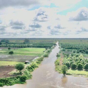 រដ្ឋទូទាត់សងរាល់ផលប៉ះពាល់ក្នុងគម្រោងព្រែកជីកហ្វូណនតេជោ សូម្បីតែដើមឈើហូបផ្លែ