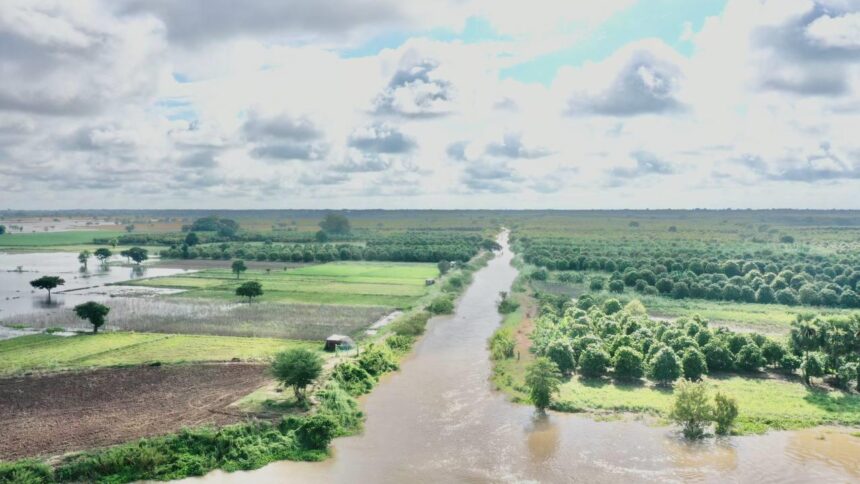 រដ្ឋទូទាត់សងរាល់ផលប៉ះពាល់ក្នុងគម្រោងព្រែកជីកហ្វូណនតេជោ សូម្បីតែដើមឈើហូបផ្លែ