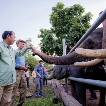 កម្ពុជាមានដំរីស្រុកជាង ៧០កំពុងថែរក្សាអភិរក្ស និងដំរីព្រៃចន្លោះ ៦០០ក្បាលរស់នៅក្នុងព្រៃធម្មជាតិ