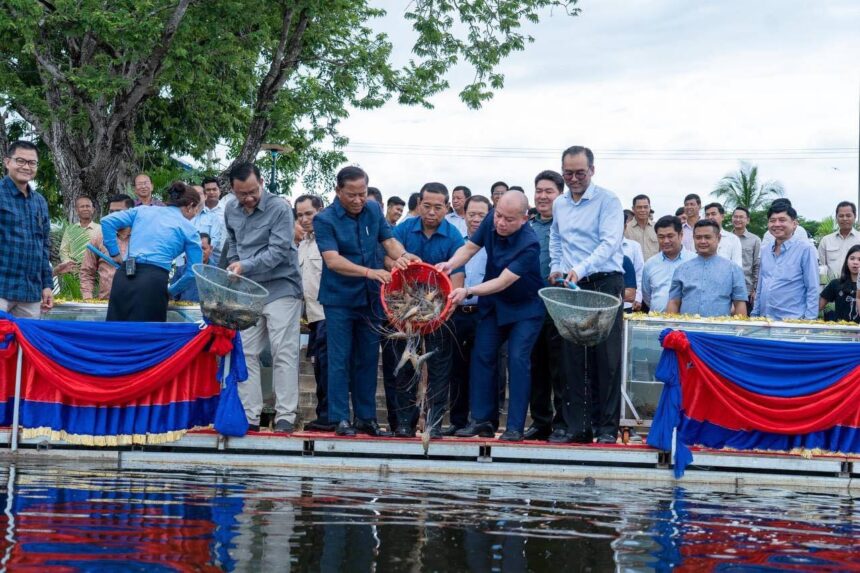 អភិបាលខេត្តពីររូបរួមគ្នាប្រលែងបង្កងចំនួន ២០០០ក្បាលចូលក្នុងបឹងតាកែវ