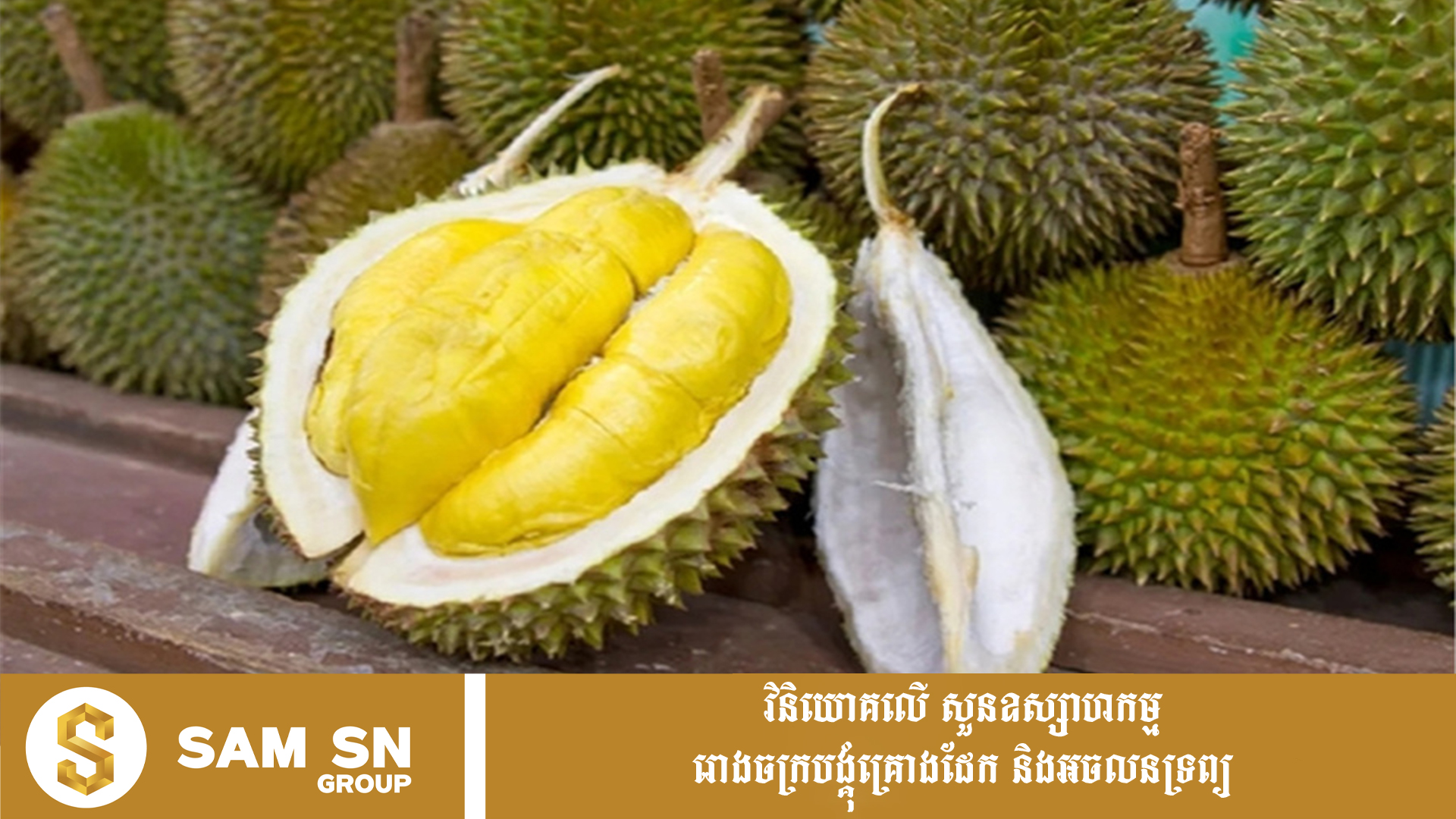 ទុរេន​ស្រស់​កម្ពុជានាំចេញ​​ទៅកាន់​ទីផ្សារ​​ចិន​ ​កើនឡើង​ជិត​ ​៤០ ​ដង​
