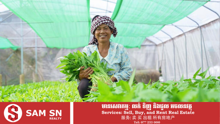 ADB អនុម័តហិរញ្ញប្បទាន ៧២លានដុល្លារ ពង្រឹងកសិកម្មជនបទ និងភាពធន់កសិករកម្ពុជា