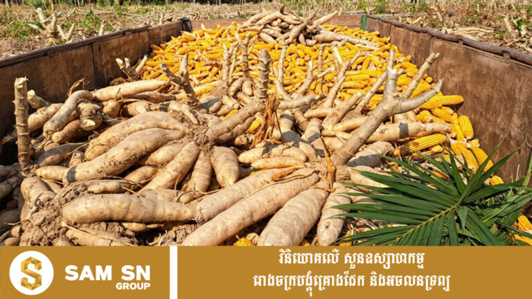 កម្ពុជាចុះ MOU ផ្គត់ផ្គង់ដំឡូងមីក្រៀម និងពោត ៤០ ម៉ឺនតោន ទៅវៀតណាម ក្នុងរយៈពេល ២ឆ្នាំ