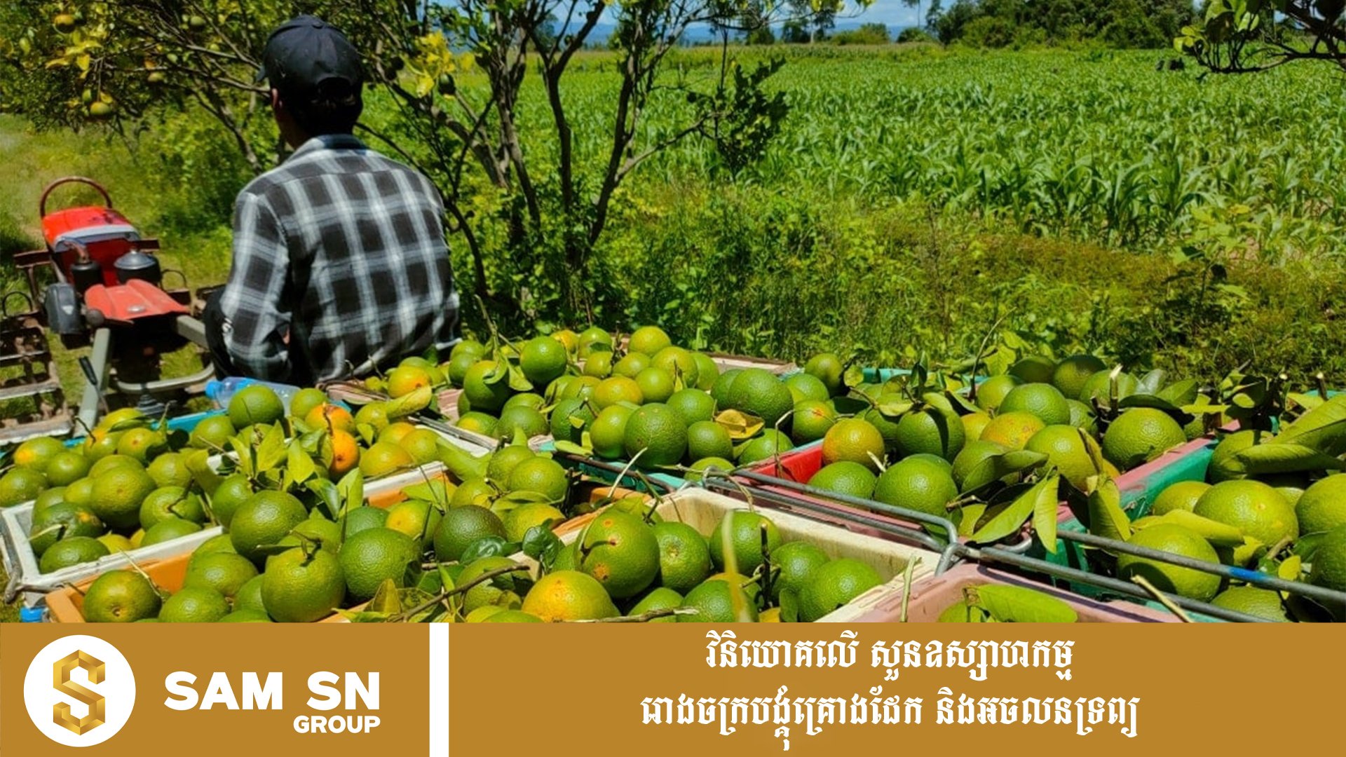 PursatOrgange 12 ក្រសួងពាណិជ្ជកម្មចុះបញ្ជី “ក្រូចពោធិ៍សាត់” ជាម៉ាកសមូហភាពជាផ្លូវការ